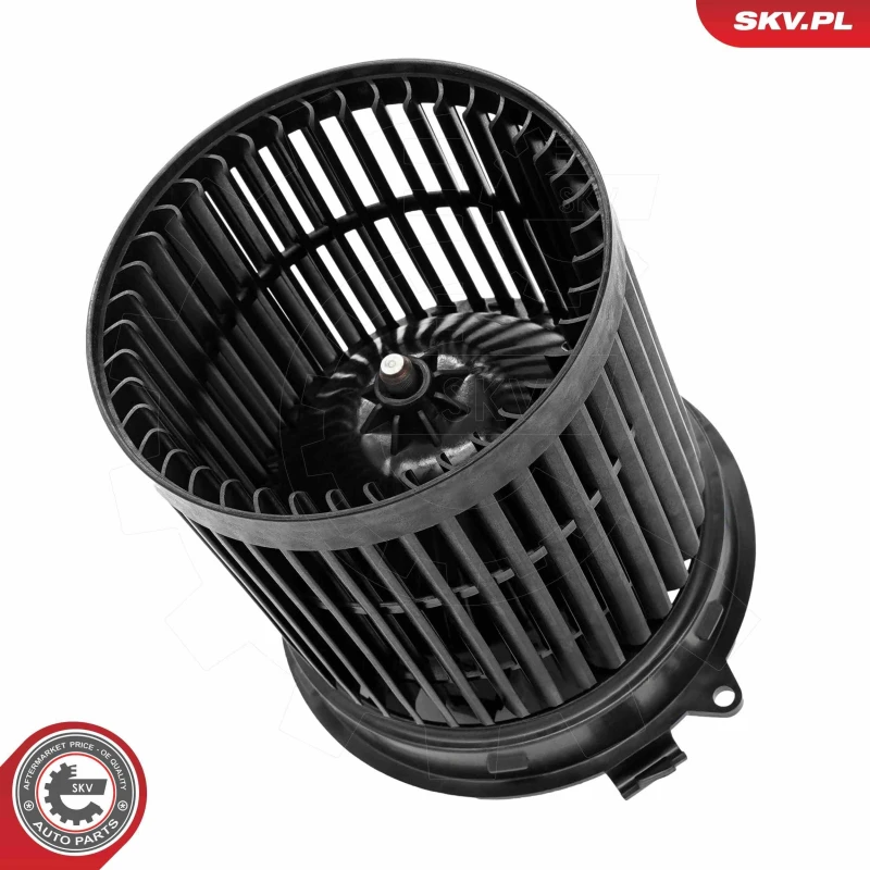 Image of ESEN SKV Blower motor ESEN SKV 68SKV232