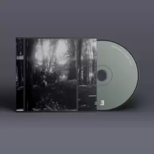 Image of The Wayfarers by Eyolf Dale CD Album