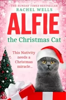Image of Alfie the Christmas Cat