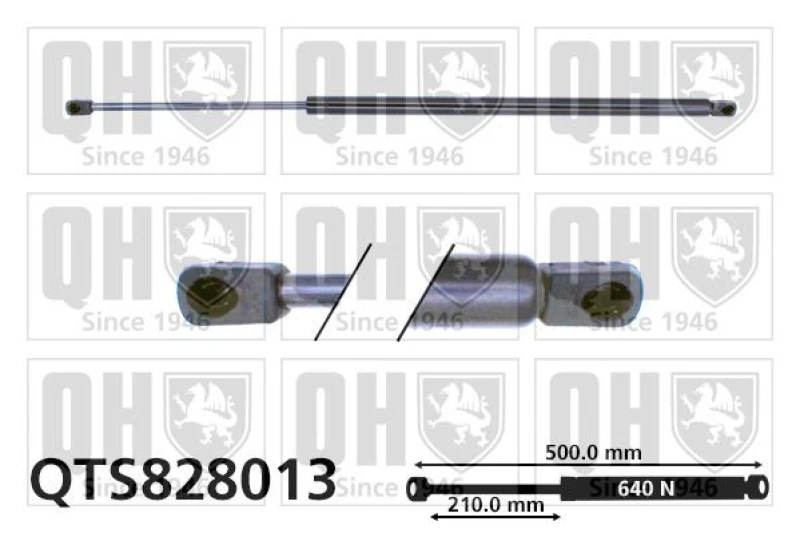 Image of QUINTON HAZELL Tailgate strut QUINTON HAZELL QTS828013