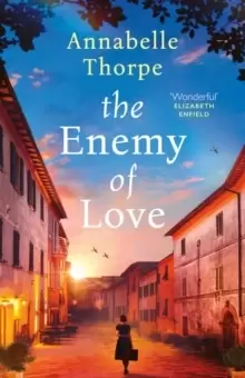 Image of The Enemy of Love