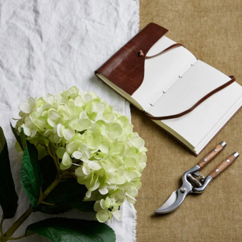 Image of Oversized Green Hydrangea