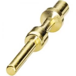 Image of Coninvers 1605750 SM 36KP006 Gold