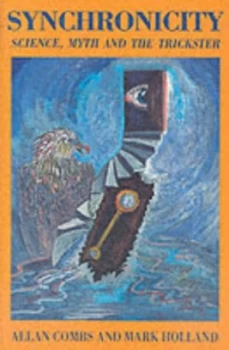 Image of Synchronicity by Allan Combs Paperback