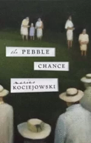 Image of pebble chance feuilletons and other prose