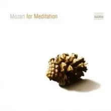 Image of Mozart for Meditation