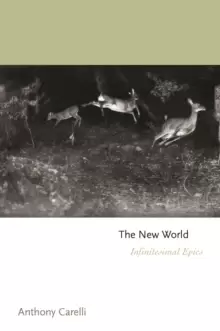Image of The New World : Infinitesimal Epics