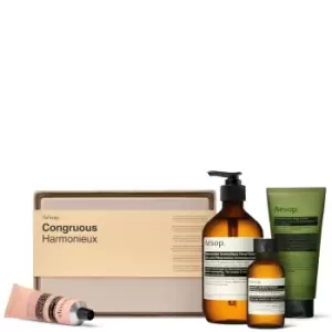 Image of Aesop Elaborate Body Kit - Congruous