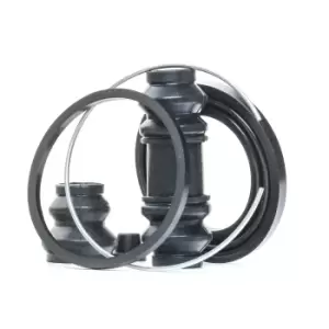 Image of RIDEX Brake Caliper Repair Kit 405R0300 Caliper Repair Kit,Brake Caliper Rebuild Kit NISSAN,Patrol GR IV SUV (Y60, GR),Patrol III/2 SUV (W260)