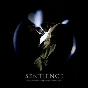 Image of Fredrik Klingwall & Julia Black - Sentience Silver Vinyl