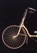 Image of bicycle the history
