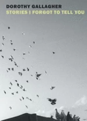 Image of stories i forgot to tell you