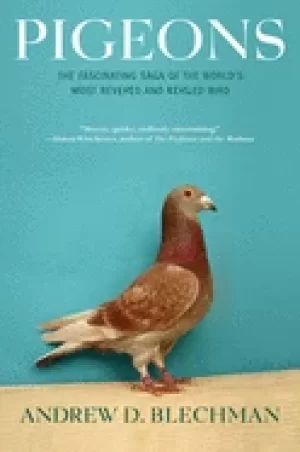 Image of pigeons the fascinating saga of the worlds most revered and reviled bird