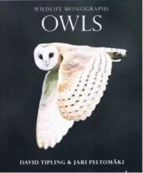 Image of Owls by David Tipling