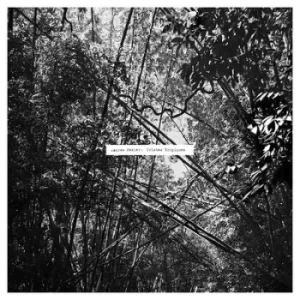 Image of Tristes Tropiques by Andrew Pekler Vinyl Album