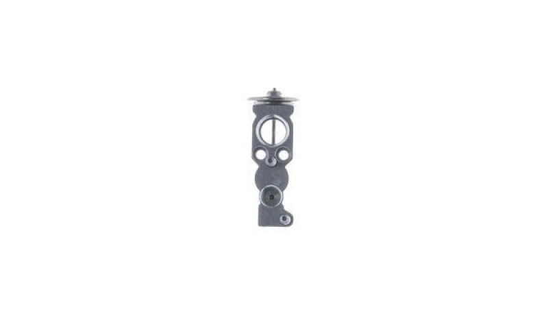 Image of MAHLE AVE 163 000P Expansion Valve with accessories Expansion Valve,air conditioning (183)