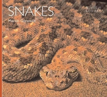 Image of Snakes by Martin Gaywood and Ian F Spellerberg Paperback