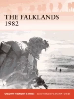 Image of falklands 1982 ground operations in the south atlantic
