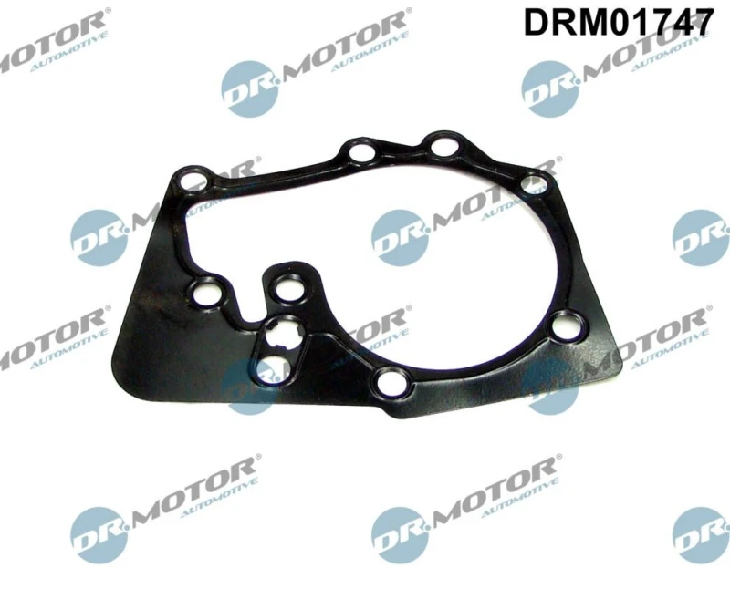 Image of DR.MOTOR AUTOMOTIVE Gasket, water pump DR.MOTOR AUTOMOTIVE DRM01747
