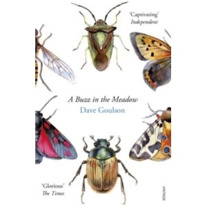 Image of A Buzz in the Meadow
