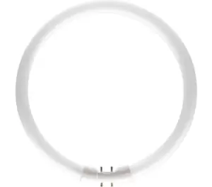 image of Philips 55w Halogen Circular Tube 2GX13 Cool White - 64251625