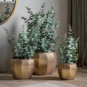 Image of Gallery Interiors Potted Eucalyptus Bush Green Large