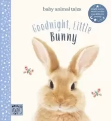 Image of Goodnight, Little Bunny : Simple stories sure to soothe your little one to sleep