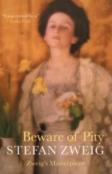 Image of Beware of Pity Book