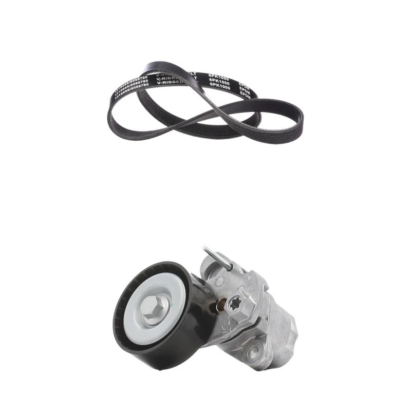 Image of RIDEX 542R0851 V-ribbed belt set V-Ribbed Belt Set (542)