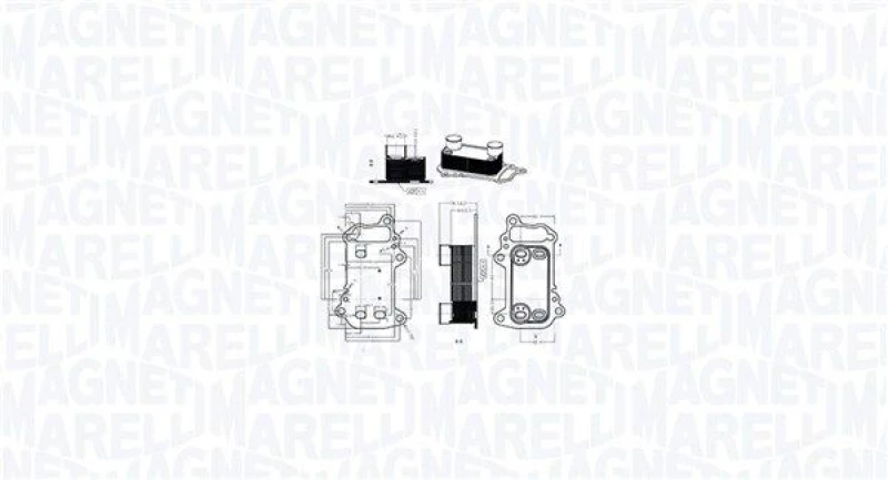 Image of MAGNETI MARELLI Engine oil cooler MAGNETI MARELLI 350300003900