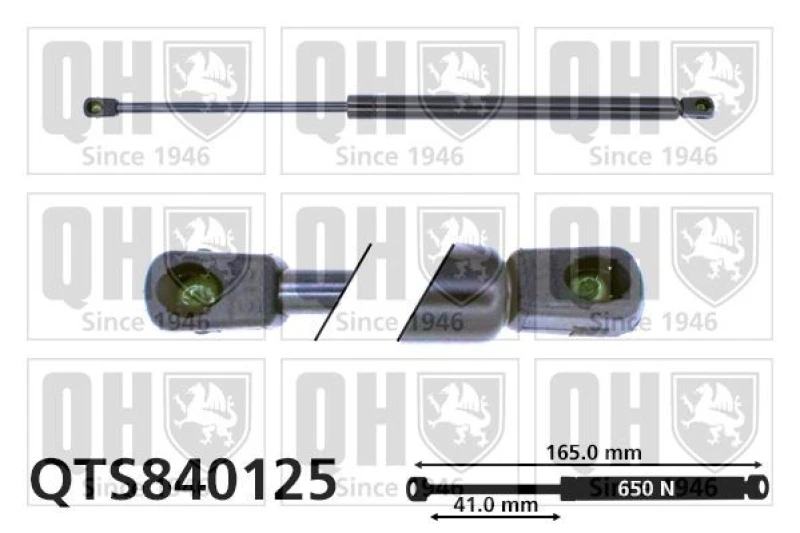 Image of QUINTON HAZELL Tailgate strut QUINTON HAZELL QTS840125