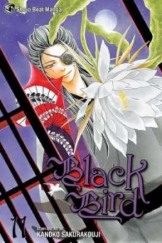 Image of Black Bird. Volume 11 by Kanoko Sakurakoji Paperback