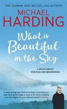 Image of What is Beautiful in the Sky by Michael Harding