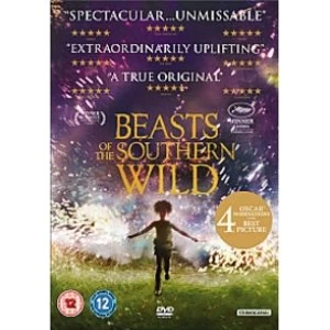 Image of Beasts Of The Southern Wild Region 2 DVD