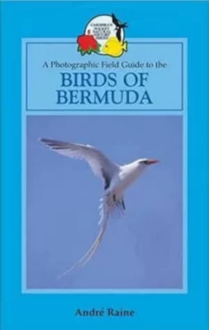 Image of Birds of Bermuda by Andre Raine