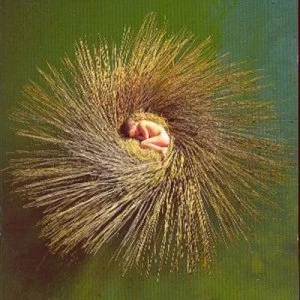 Image of Ovo by Peter Gabriel CD Album