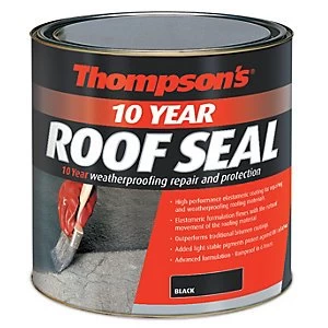 image of Thompsons 10 Year Roof Seal - Black 2.5L