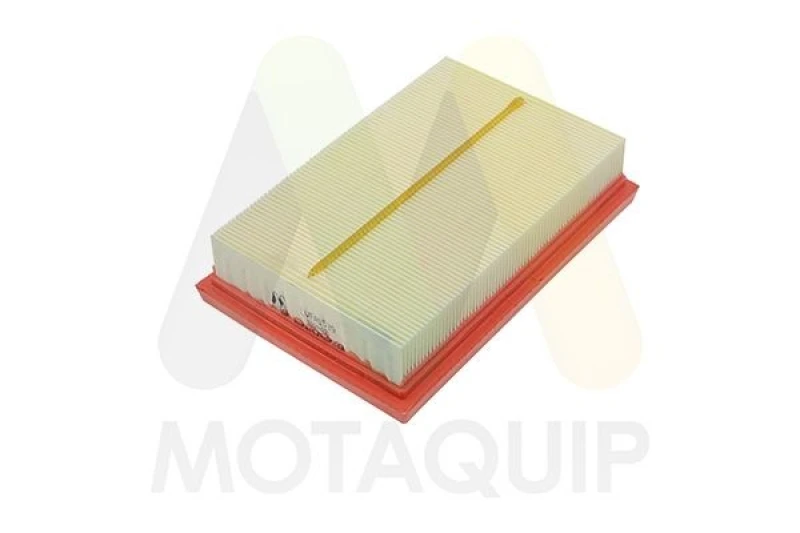 Image of MOTAQUIP Air filter MOTAQUIP LVFA1539