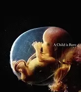Image of child is born
