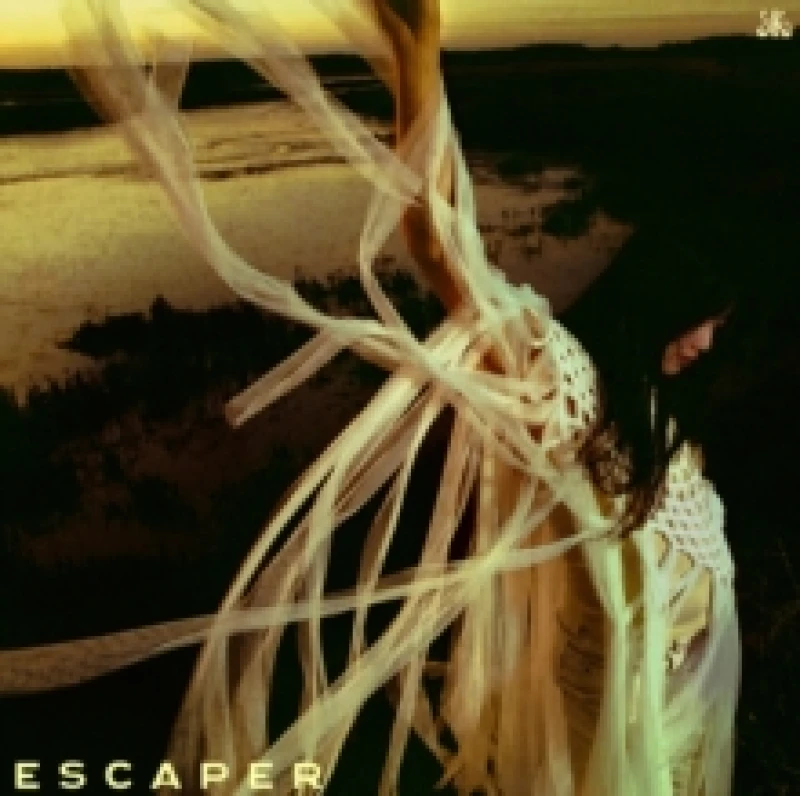 Image of Escaper Vinyl