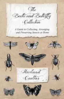 Image of The Beetle and Butterfly Collection - A Guide to Collecting, Arranging and Preserving Insects at Home