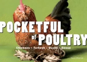 Image of pocketful of poultry