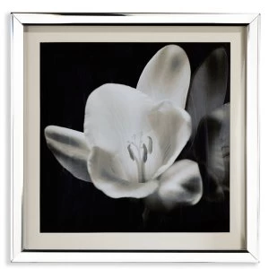 image of Arthouse Showstopper Floral Mirrored Framed Print