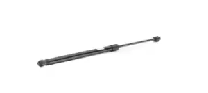 Image of ASHIKA Tailgate strut MERCEDES-BENZ ZSA05005 2038800029,A2038800029