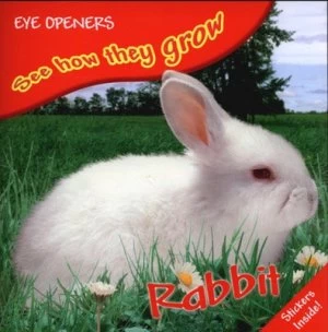 Image of Rabbit by Angela Royston Paperback