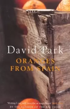Image of Oranges from Spain by David Park
