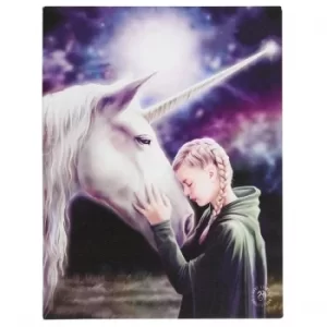 Image of 19 x 25cm The Wish Canvas Plaque By Anne Stokes