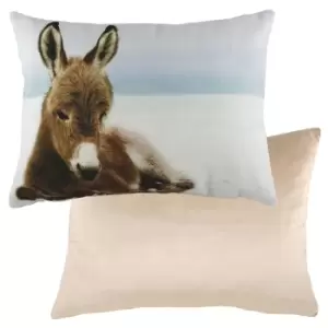 Image of Winter Donkey Cushion Multicolour, Multicolour / 43 x 33cm / Polyester Filled
