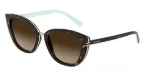 image of Tiffany & Co. 0TF4152 80153B 55 Sunglasses