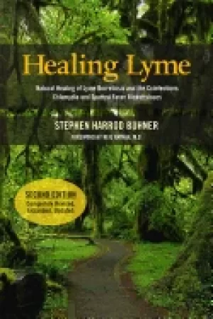 Image of healing lyme natural healing of lyme borreliosis and the coinfections chlam
